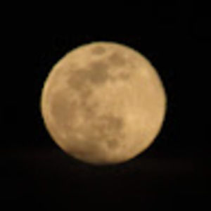 Meet your Posher, Mna mnay name is emma